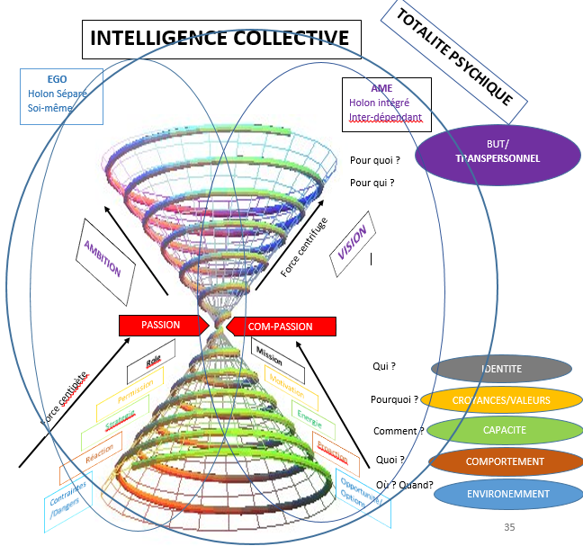 schema-intelligence-collective